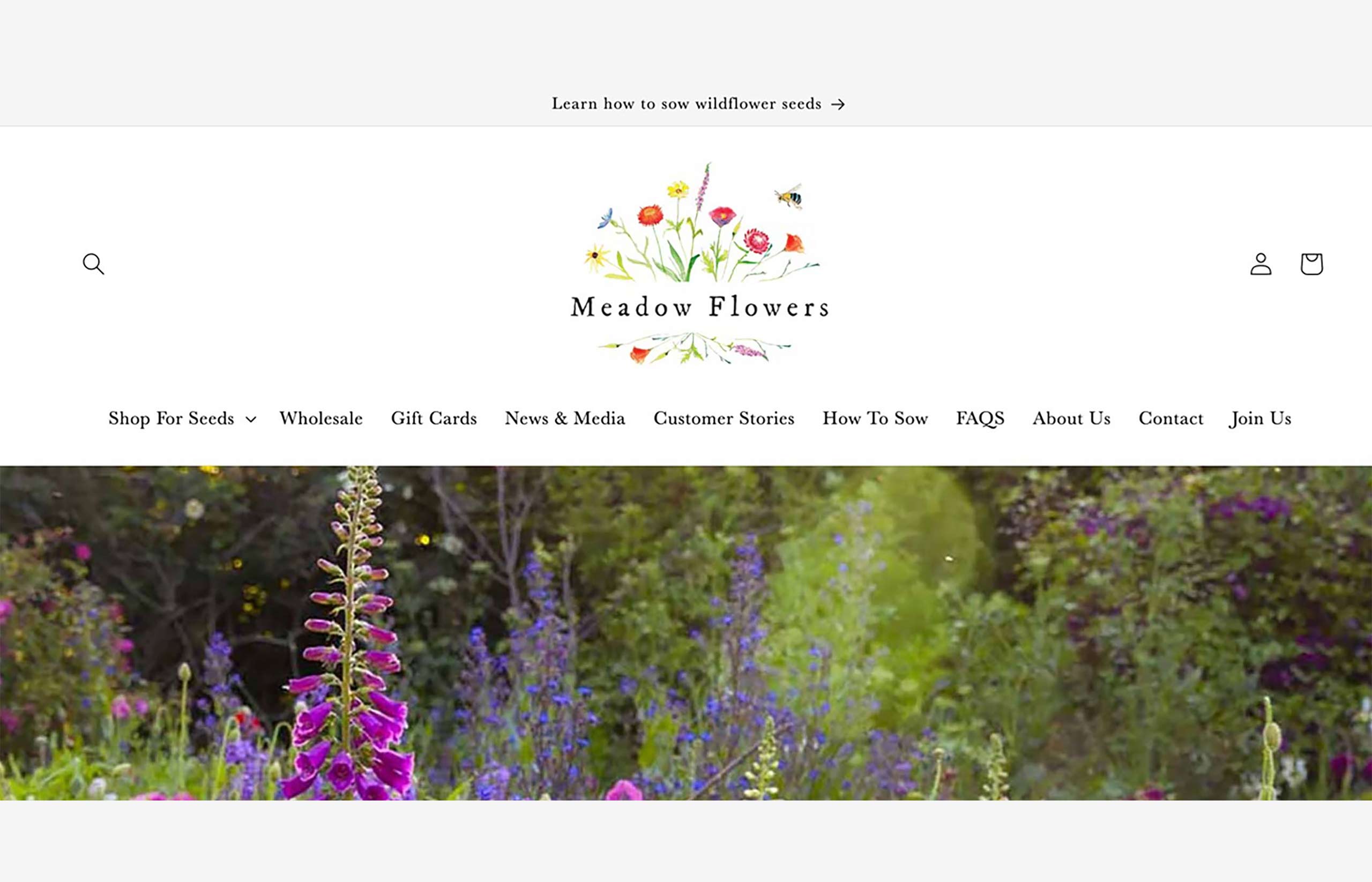Meadow Flowers Australia